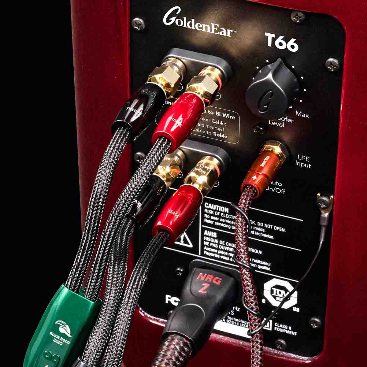 GoldenEar T66 Floorstanding Loudspeaker - Each - Image 12