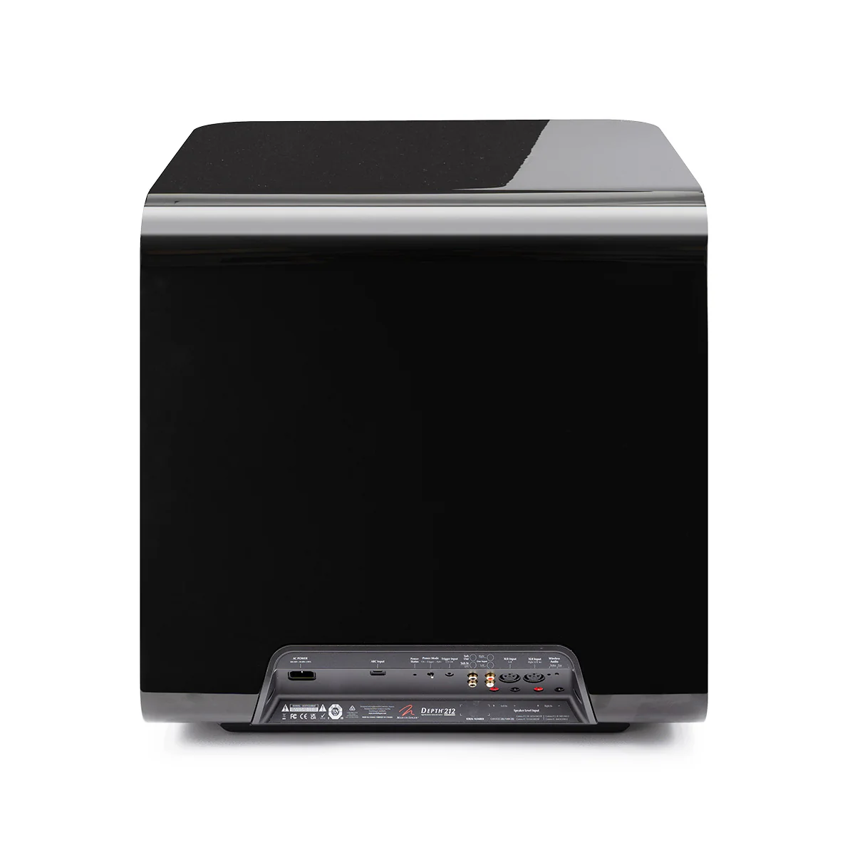 MartinLogan Depth 212 Subwoofer - Image 14
