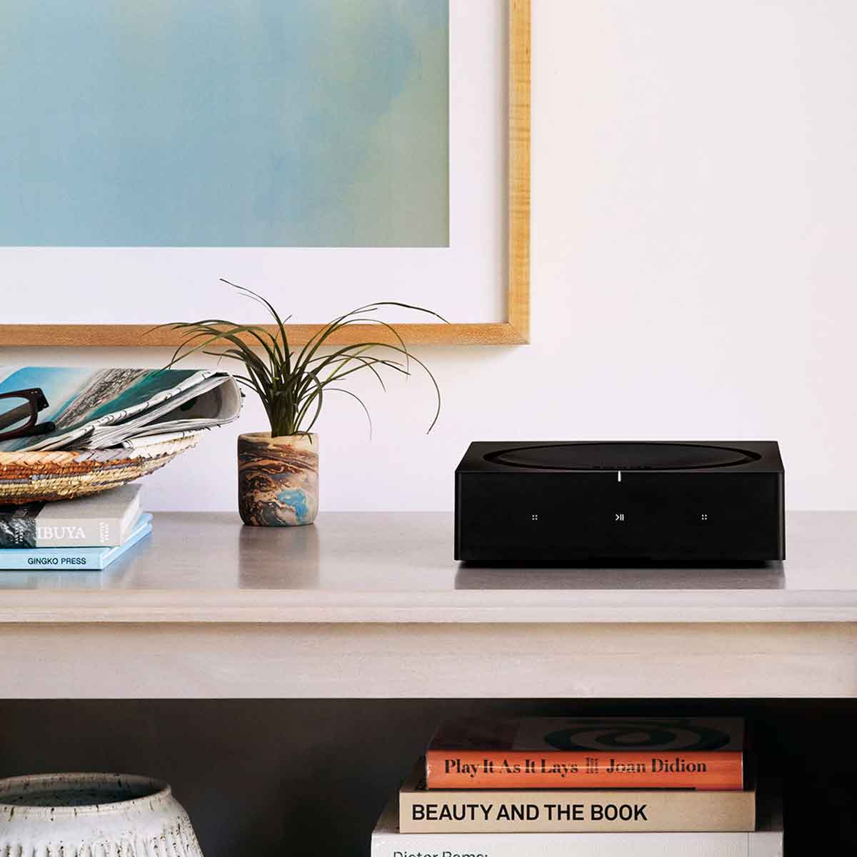 Sonos Amp - Image 8