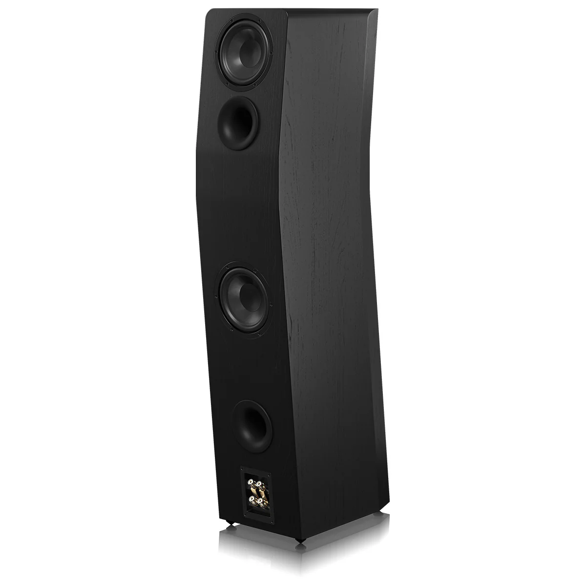 SVS Ultra Evolution Titan Floorstanding Loudspeaker - Each - Image 14