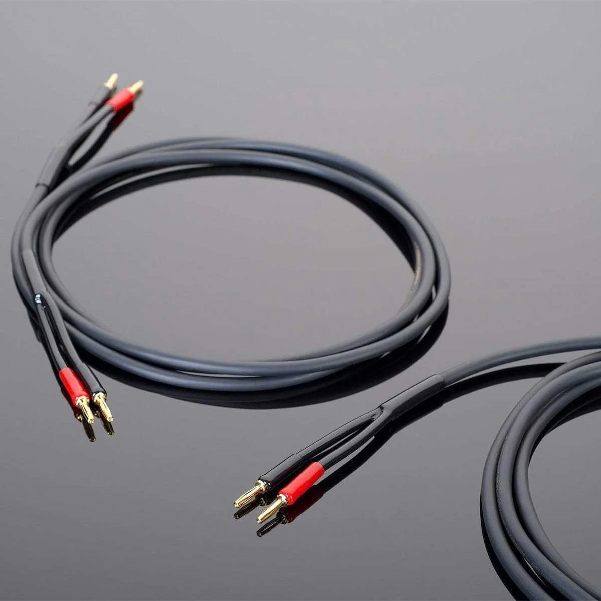 Transparent Hardwired Speaker Cable - Image 6