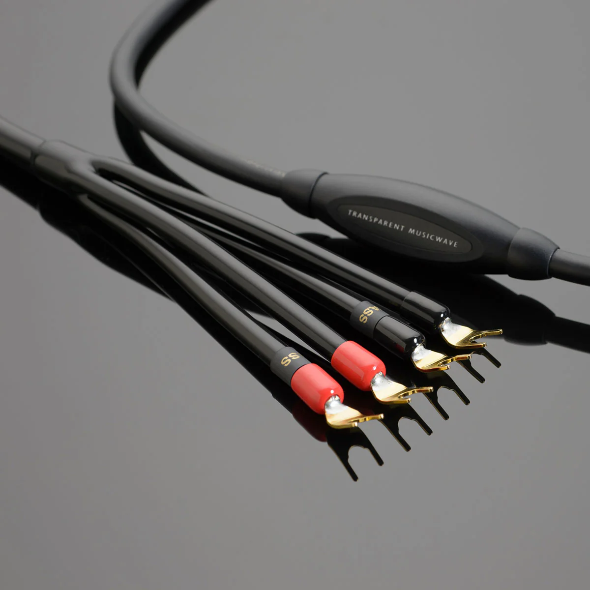 Transparent MusicWave Speaker Cable - Image 3