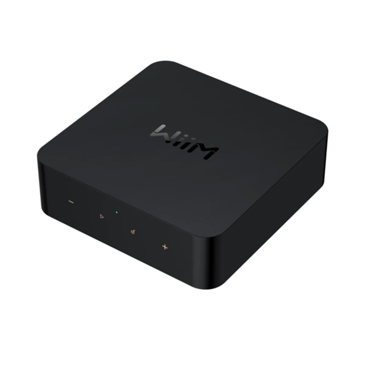 WiiM PRO Wireless Audio Streamer - Image 3