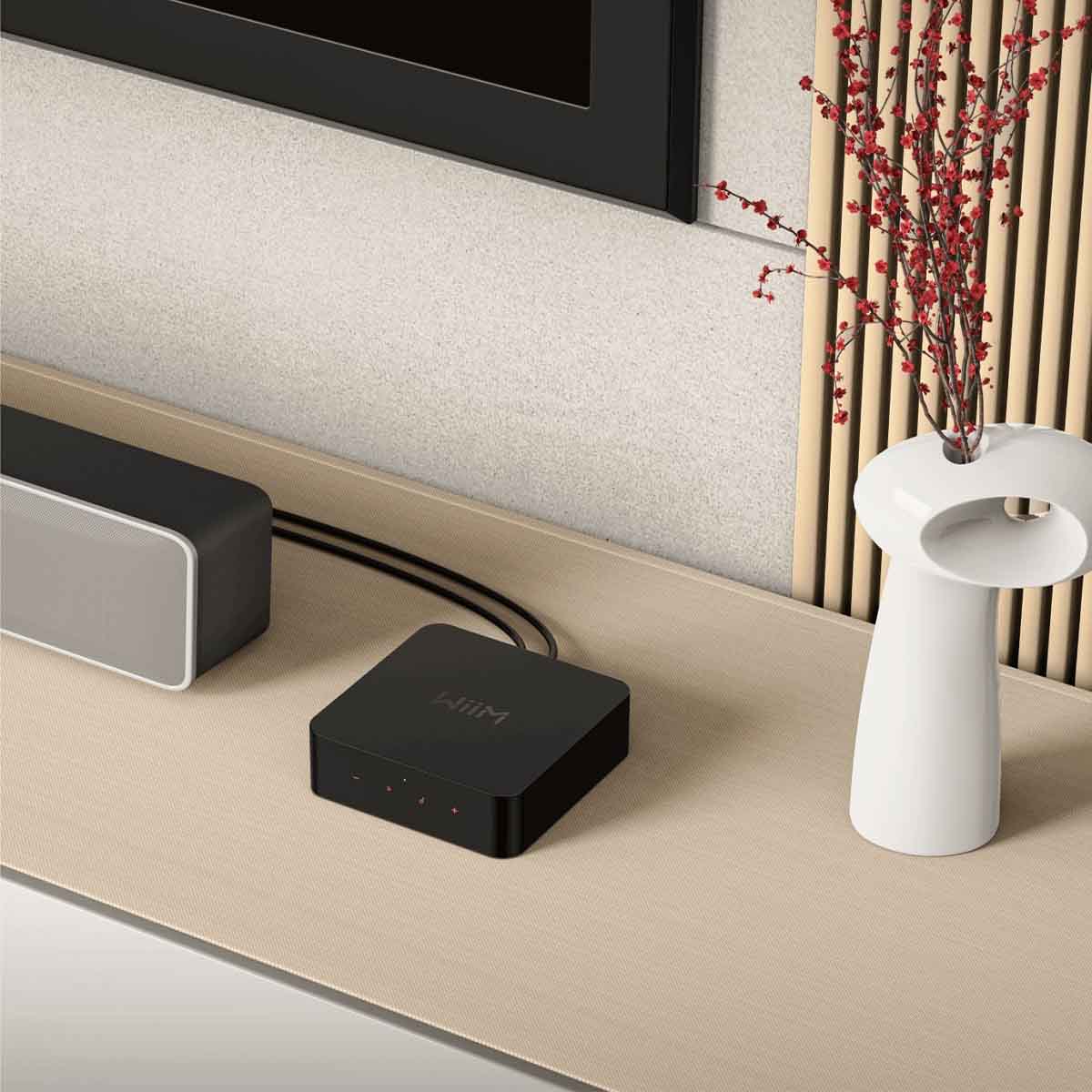 WiiM PRO Wireless Audio Streamer - Image 5